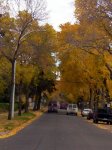 000_0037.jpg