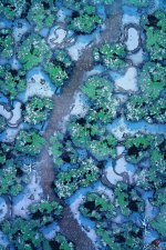 Snowy-Forest-Path-Vol6-Gridded-26x39-MapPublic.jpg