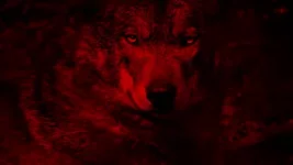 blood wolf.webp