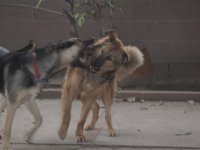 IMG_0674.JPG