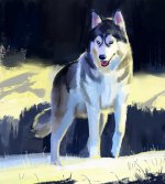 Dog.jpg