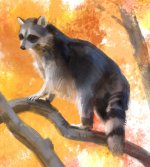 Woodland Critter.jpg