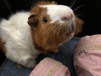 IMG_6075.jpeg