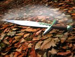 elvin longblade 1.jpg