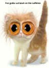 owlcat_small.jpg