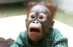 shocked.jpg