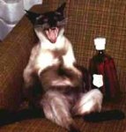 laughing-cat-with-bottle-2.jpg