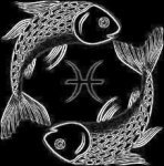 fishshtuff.jpg