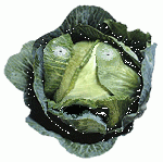 fiendishdirecabbage.gif