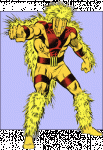porcupine.gif