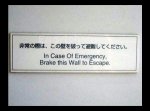 fortune cookie on wal.jpg