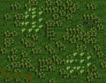 shortmap.GIF