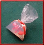 goldfish2.jpg