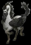 med_gallery_10_2_30825.jpg