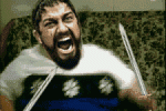 giphy.gif