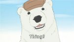 polarbear.jpg