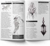 Dragonfly-spread-edited.jpg