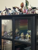 IMG_2603.jpeg
