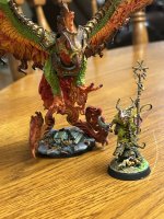 IMG_2633.jpeg