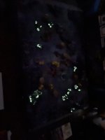 IMG_9643.jpeg