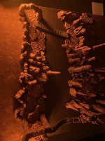 IMG_9655.jpeg