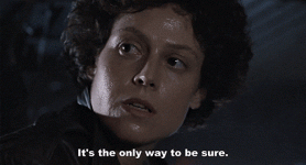 1746113029981.gif