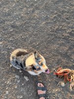 IMG_2207.jpeg