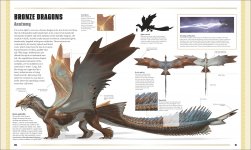 bronze dragon.jpeg