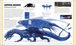 sapphire dragon.jpeg