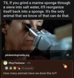 5824727A-F945-4424-98FD-764356A23053.jpeg