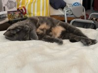 IMG_1865 Medium.jpeg