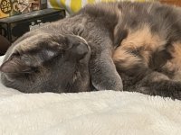 IMG_1866 Medium.jpeg