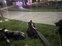 IMG_2378.jpeg