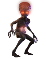 1748871027095.webp