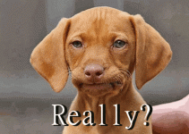 3.gif