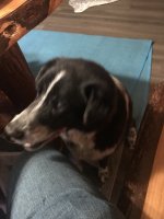 1750132311253.jpeg