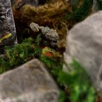 IMG_0382.jpeg