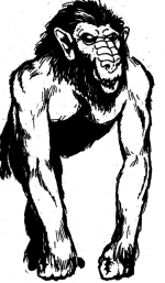 1751112661582.png