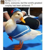1751197928498.png