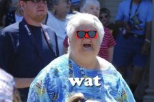 Wat shades.jpg