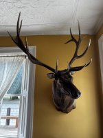 IMG_0659.JPEG