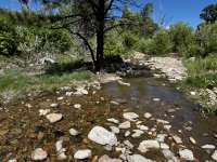 IMG_0696.JPEG
