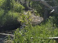 IMG_0699.JPEG
