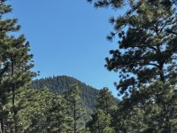 IMG_0704.JPEG