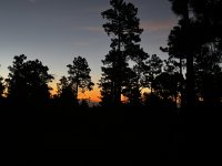 IMG_0705.JPEG