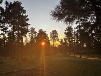 IMG_0706.JPEG