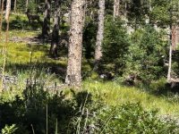 IMG_0720.JPEG