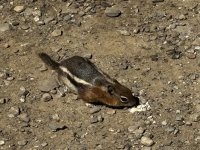 IMG_0722.JPEG
