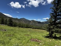 IMG_0738.JPEG