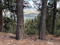 IMG_0743.JPEG